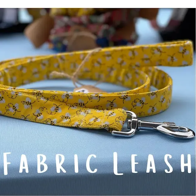 Bumble Bee Collar and Leash