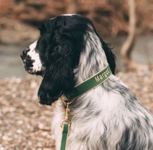 Collar | Forest & Tan