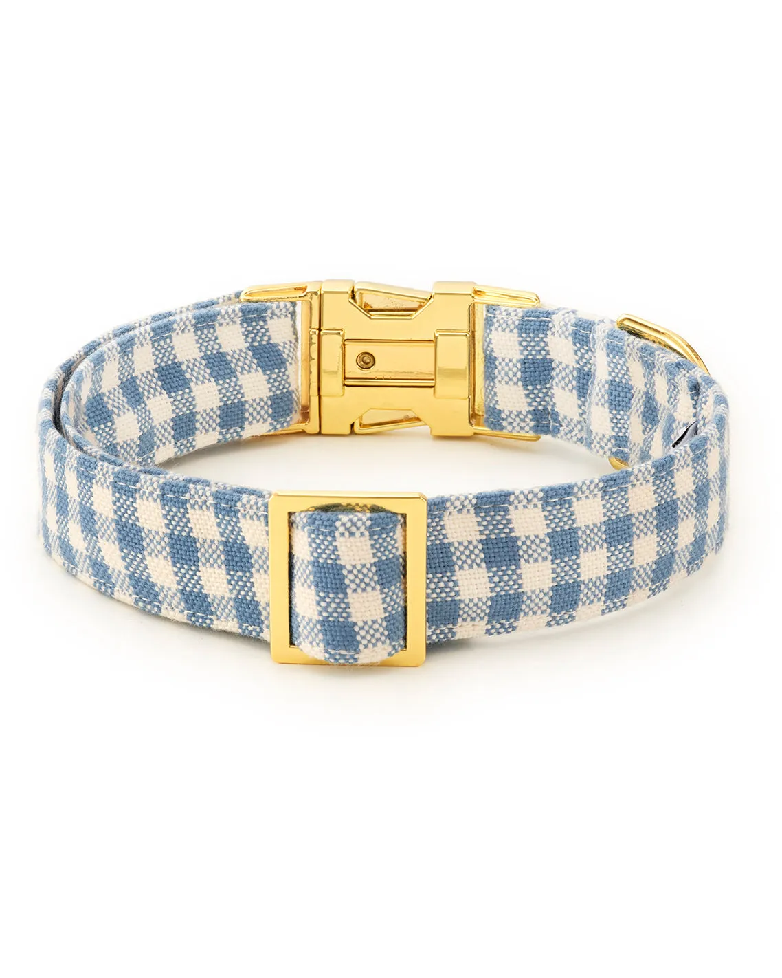 DJ x TFD Collar in Blue Gingham