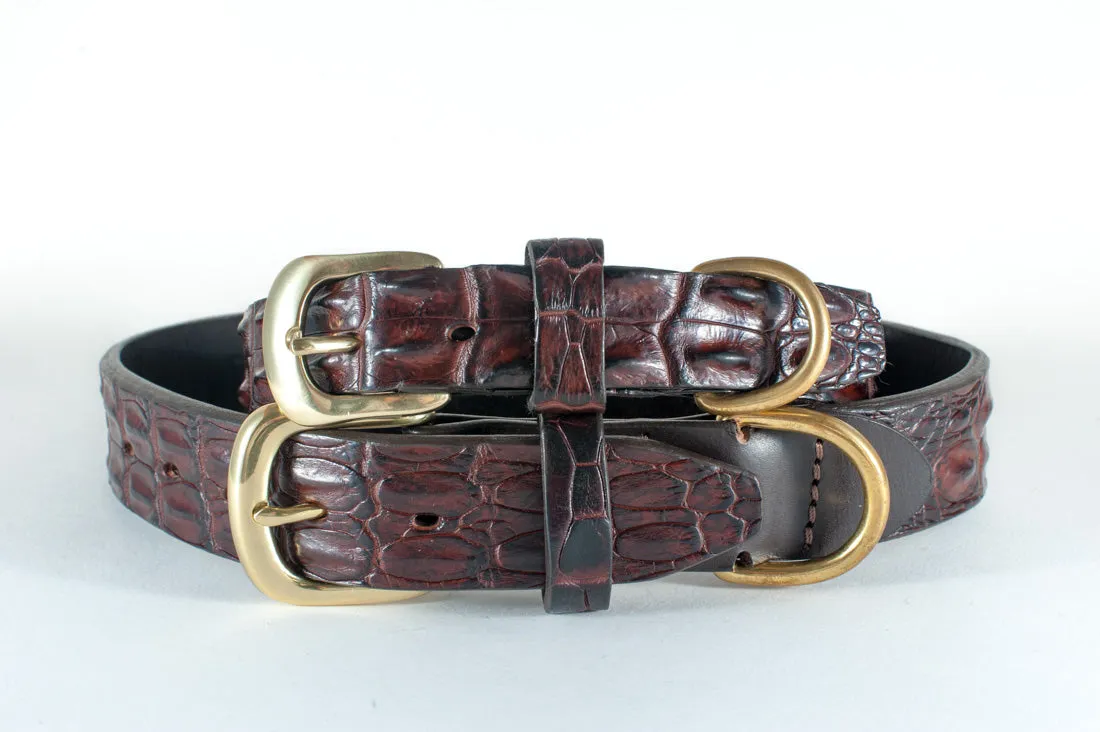 Dog Collar