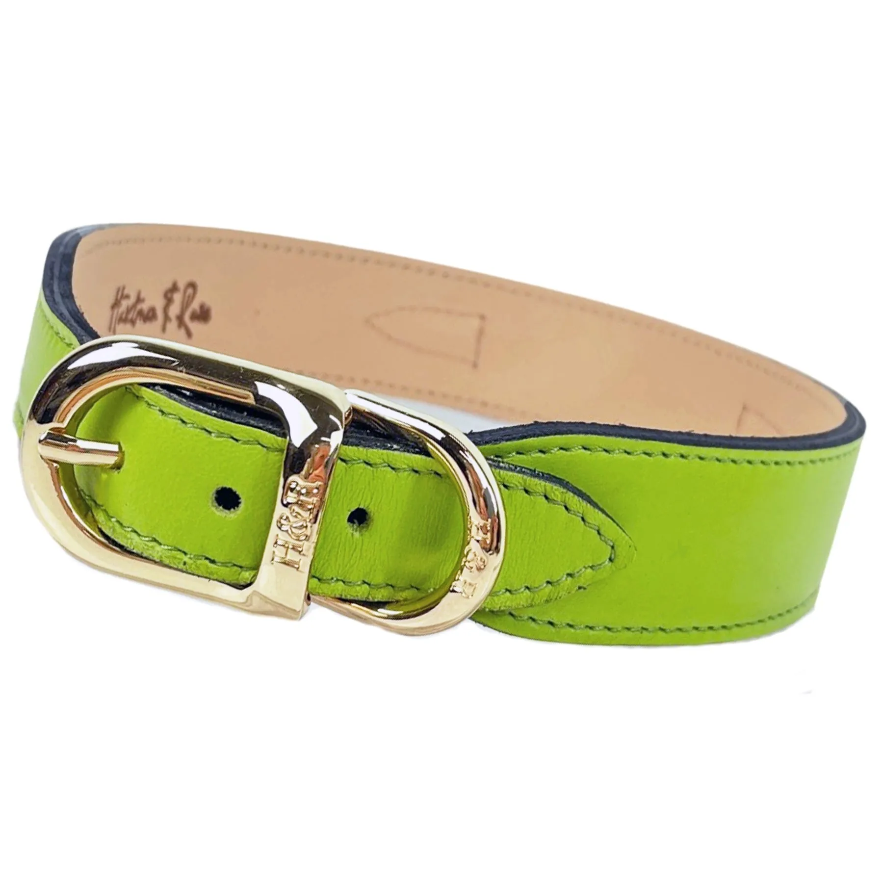 Hartman Dog Collar in Lime Green, Ivy Green & Gold