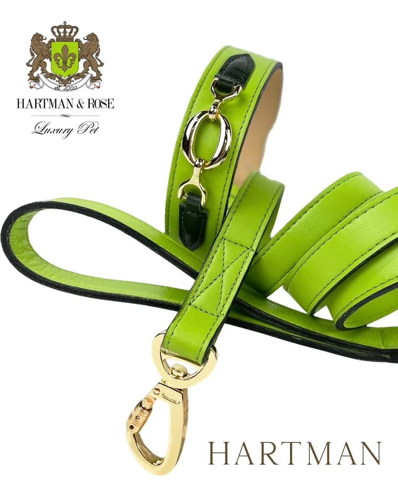 Hartman Dog Collar in Lime Green, Ivy Green & Gold