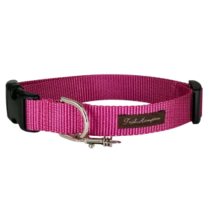 Mauve/Rose Nylon Webbing Dog Collar - 800