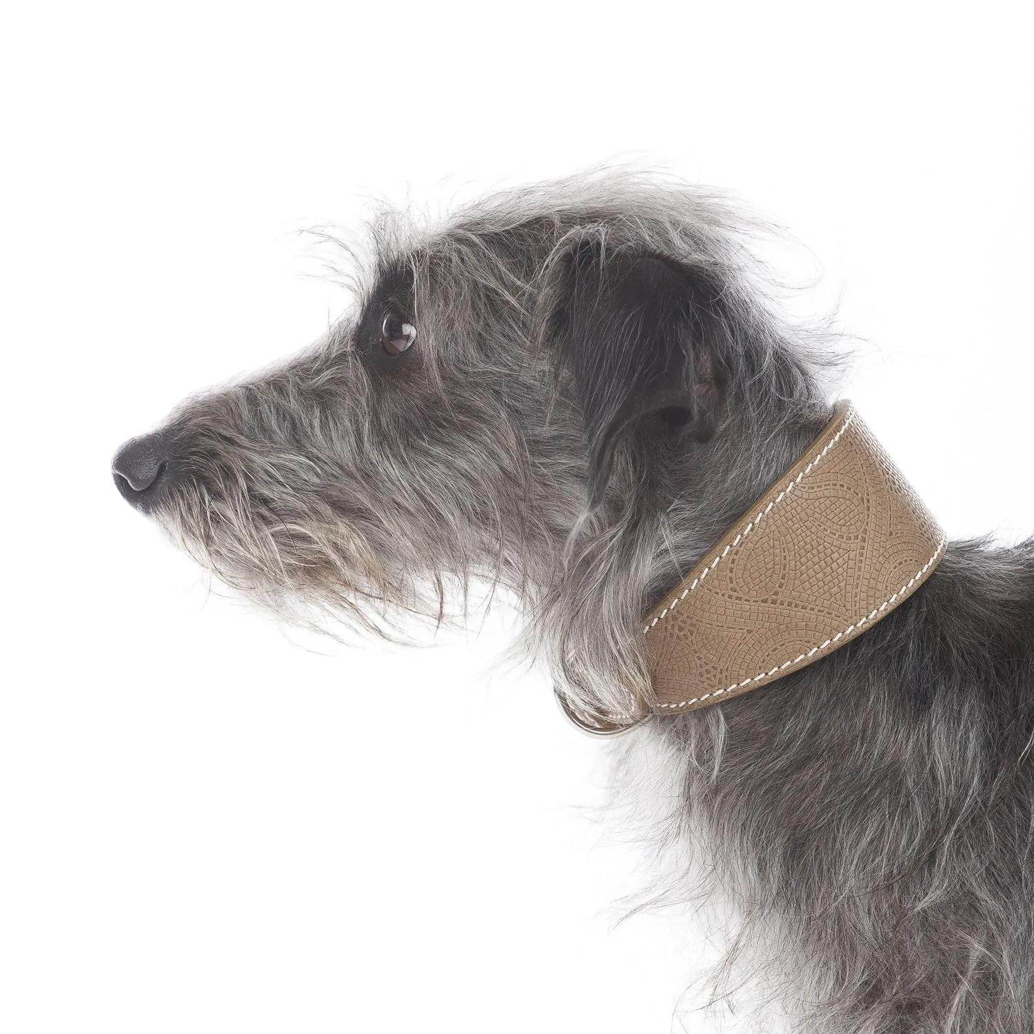 Medici Dog Collar