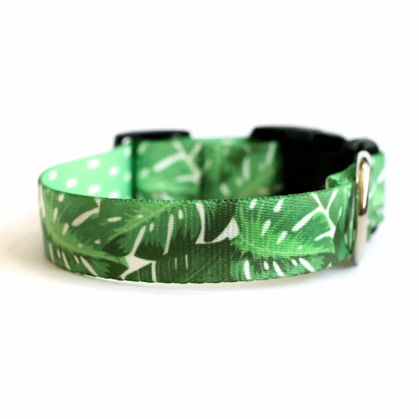 Monstera Magic Dog Collar