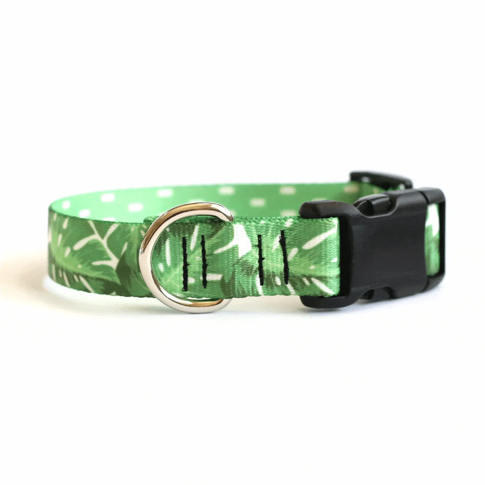 Monstera Magic Dog Collar