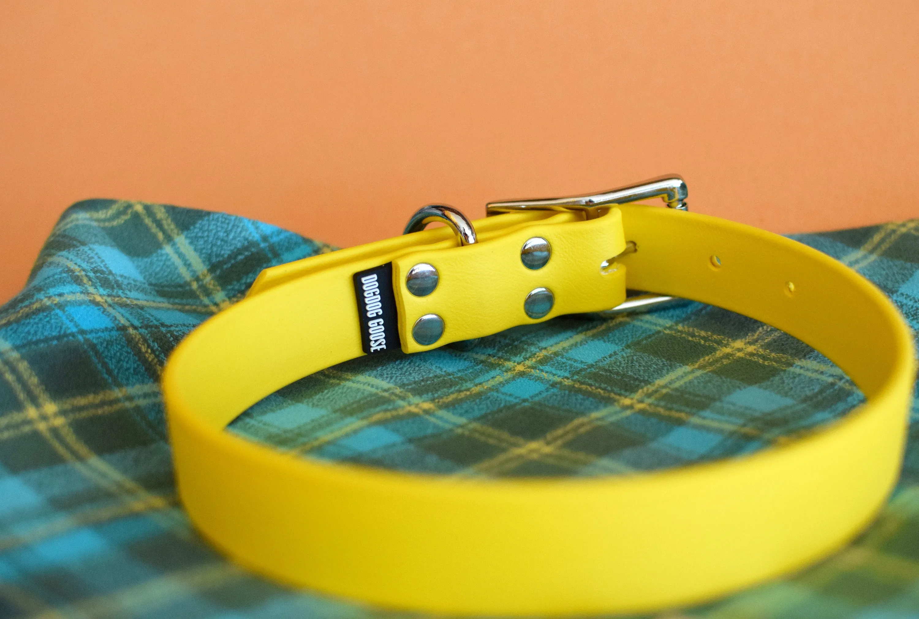 PREMADE COLLECTION - Yellow & Nickel Biothane Dog Collar