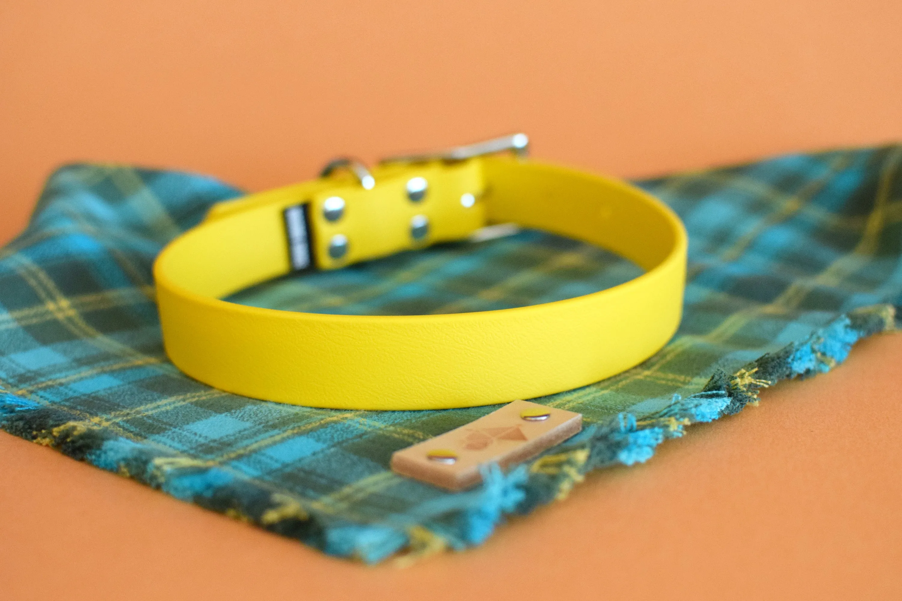 PREMADE COLLECTION - Yellow & Nickel Biothane Dog Collar