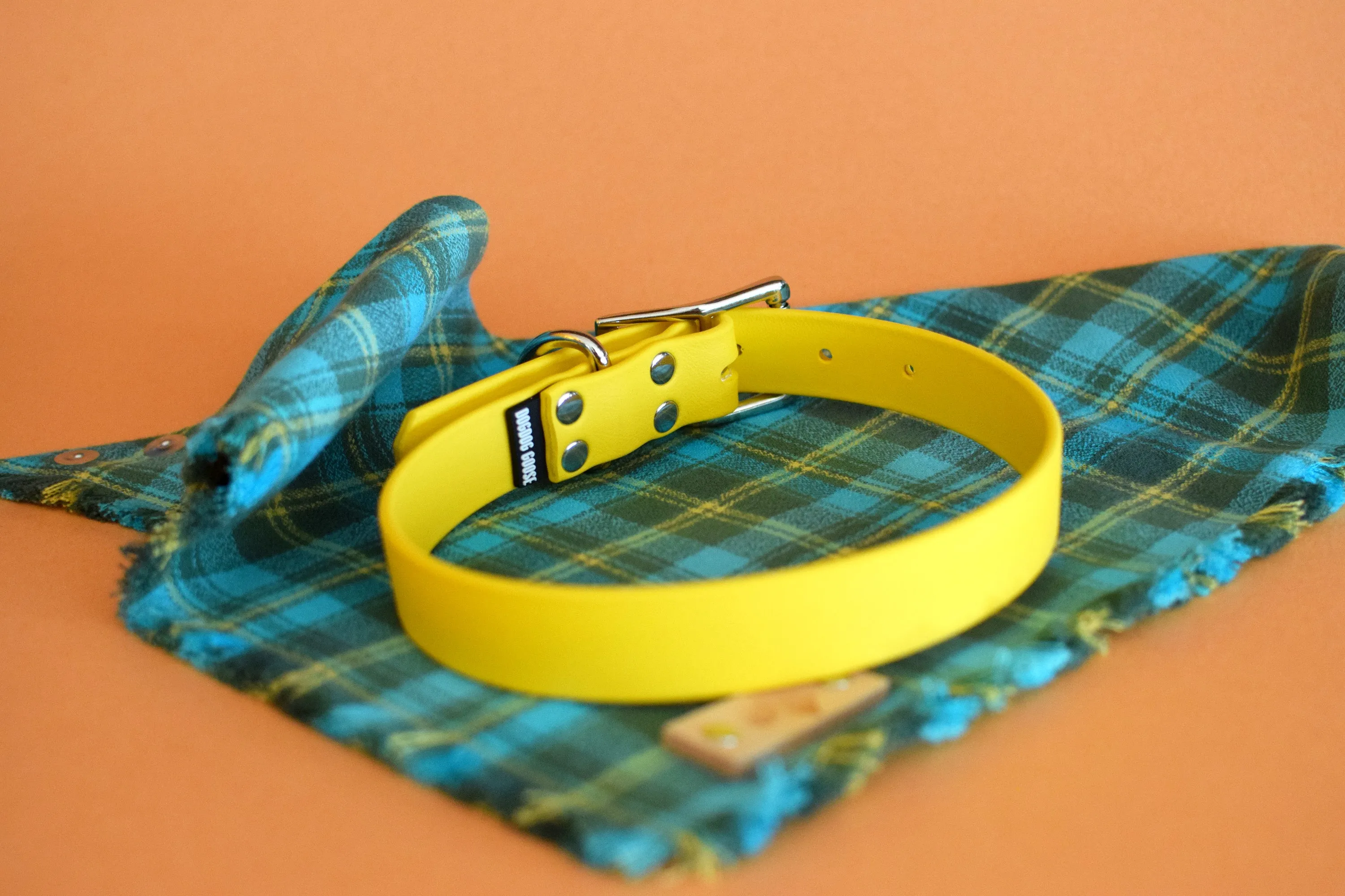 PREMADE COLLECTION - Yellow & Nickel Biothane Dog Collar