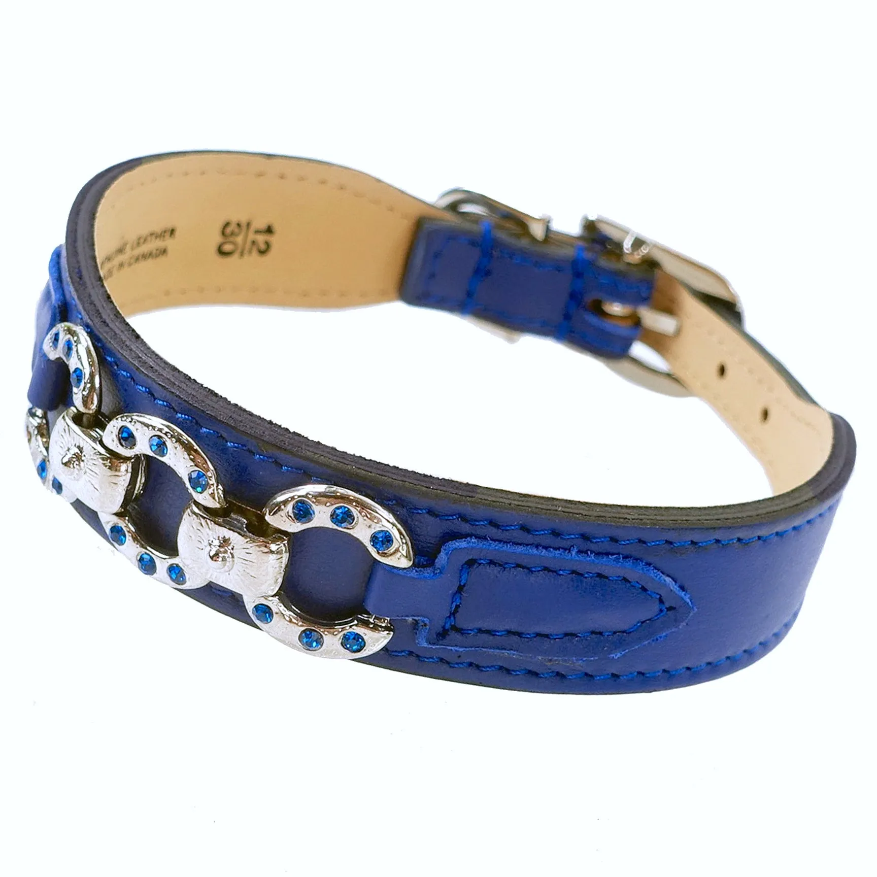 Rodeo Drive Dog Collar in Cobalt Blue & Nickel