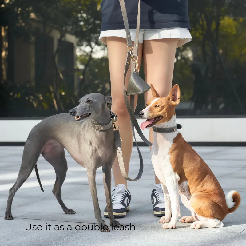 Sand Hands-Free Dog Leash