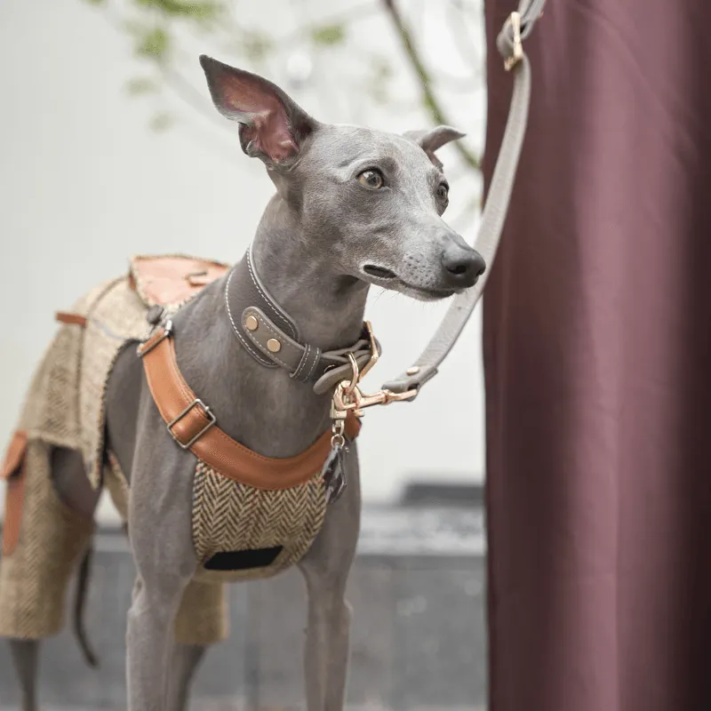 Sand Leather Collar