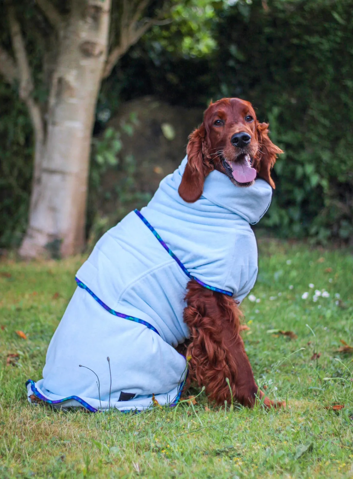 SECONDS- Pathfinder Dog Microfibre Drying Coat - Ice Blue with Marble Trim