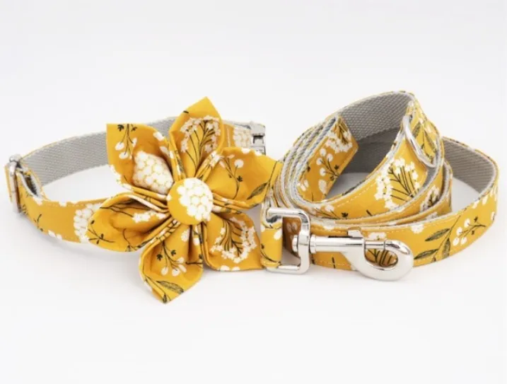 Trendy Mustard Yellow Butterfly Collars | Personalized Dog ID Collars