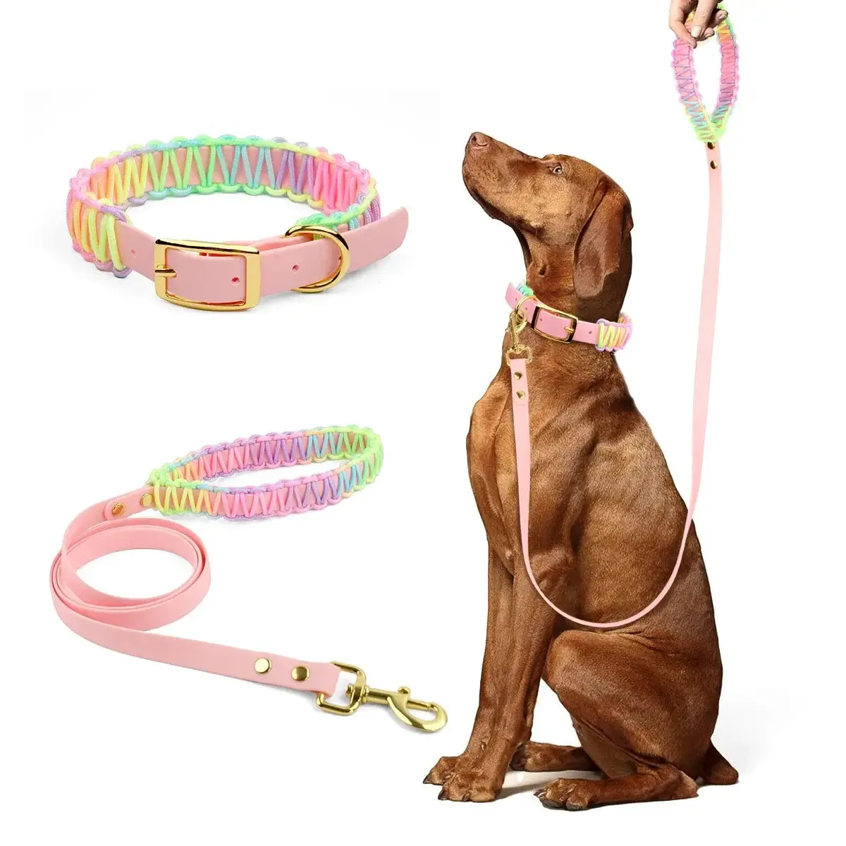 Vibrant Dog Collar & Leash Set - Ultimate Control & Style